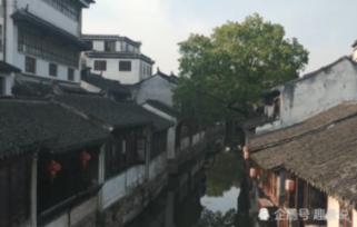 动物帮帮忙保卫家园